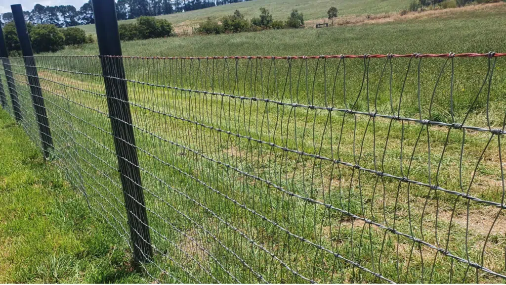 Diamond V mesh- mesh fence- horse mesh