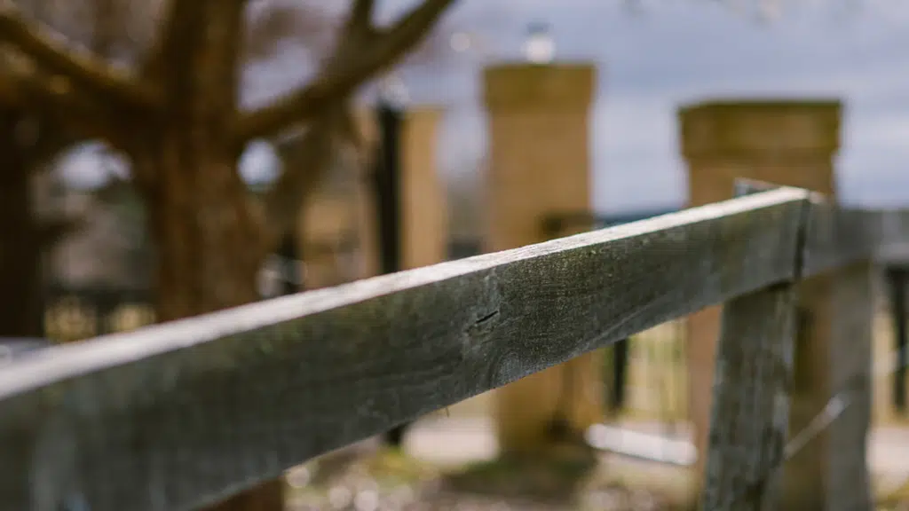 Timber fence to be painted - dried timber fence - fence primer