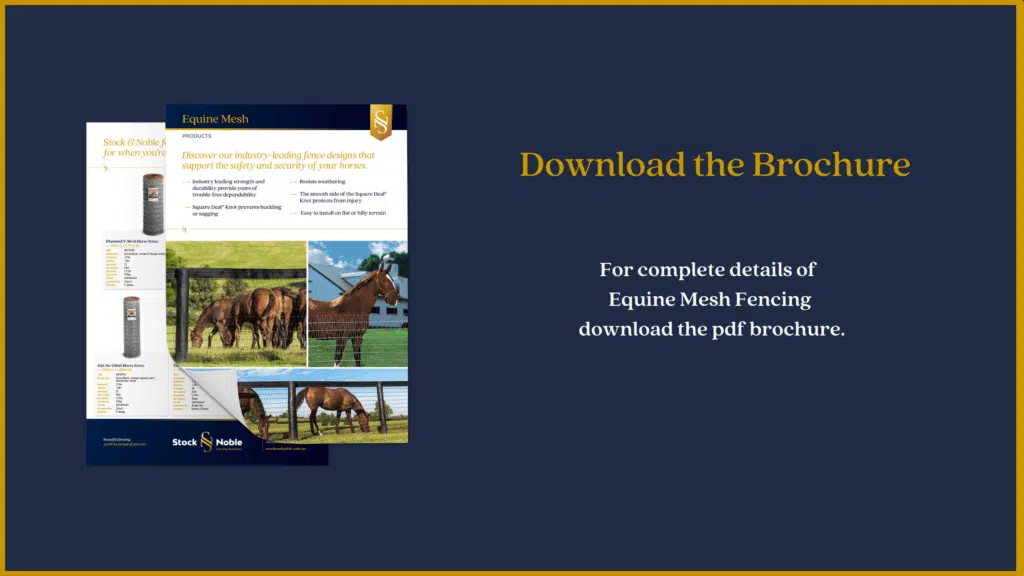 Equine Mesh-download brochure