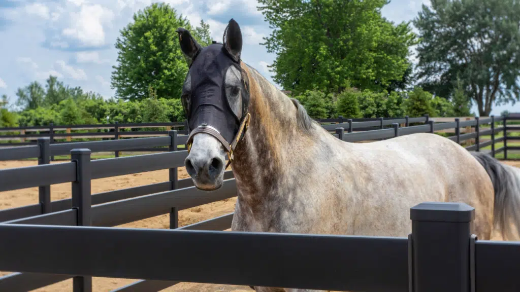 Horse-safe premium steel post and rail fence