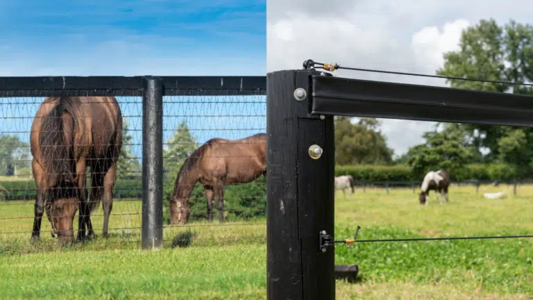 Horse fence - mesh vs electric fence