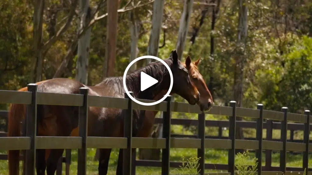Jones Property Video - Premium Steel Post and Rail Fencing - Southern Highlands