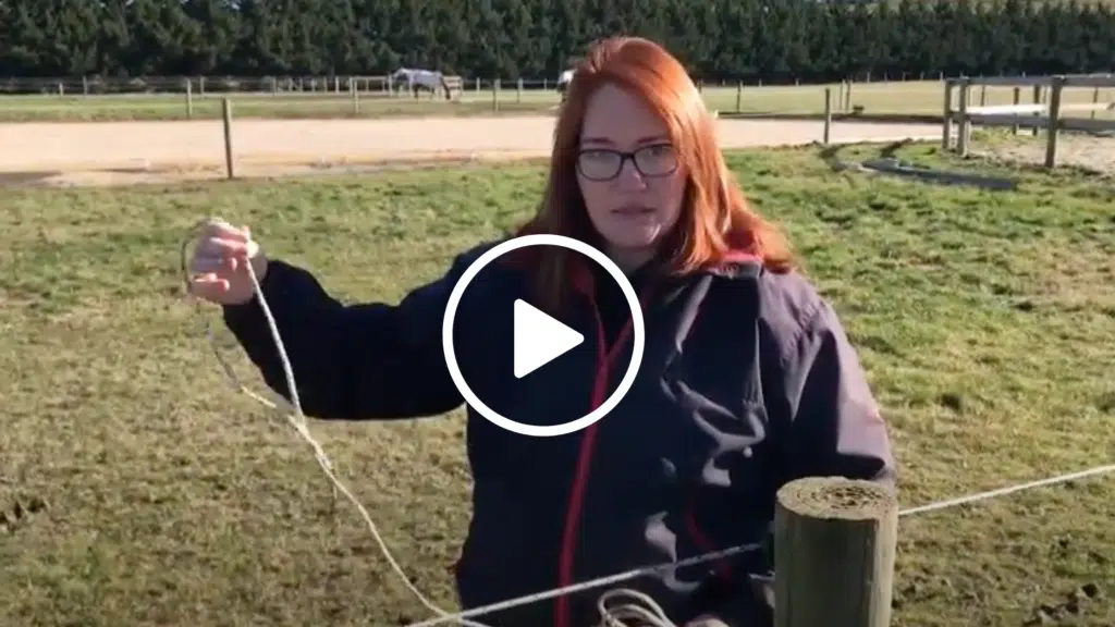 EquiRope - electric fence - review - equine property owner - Lensay