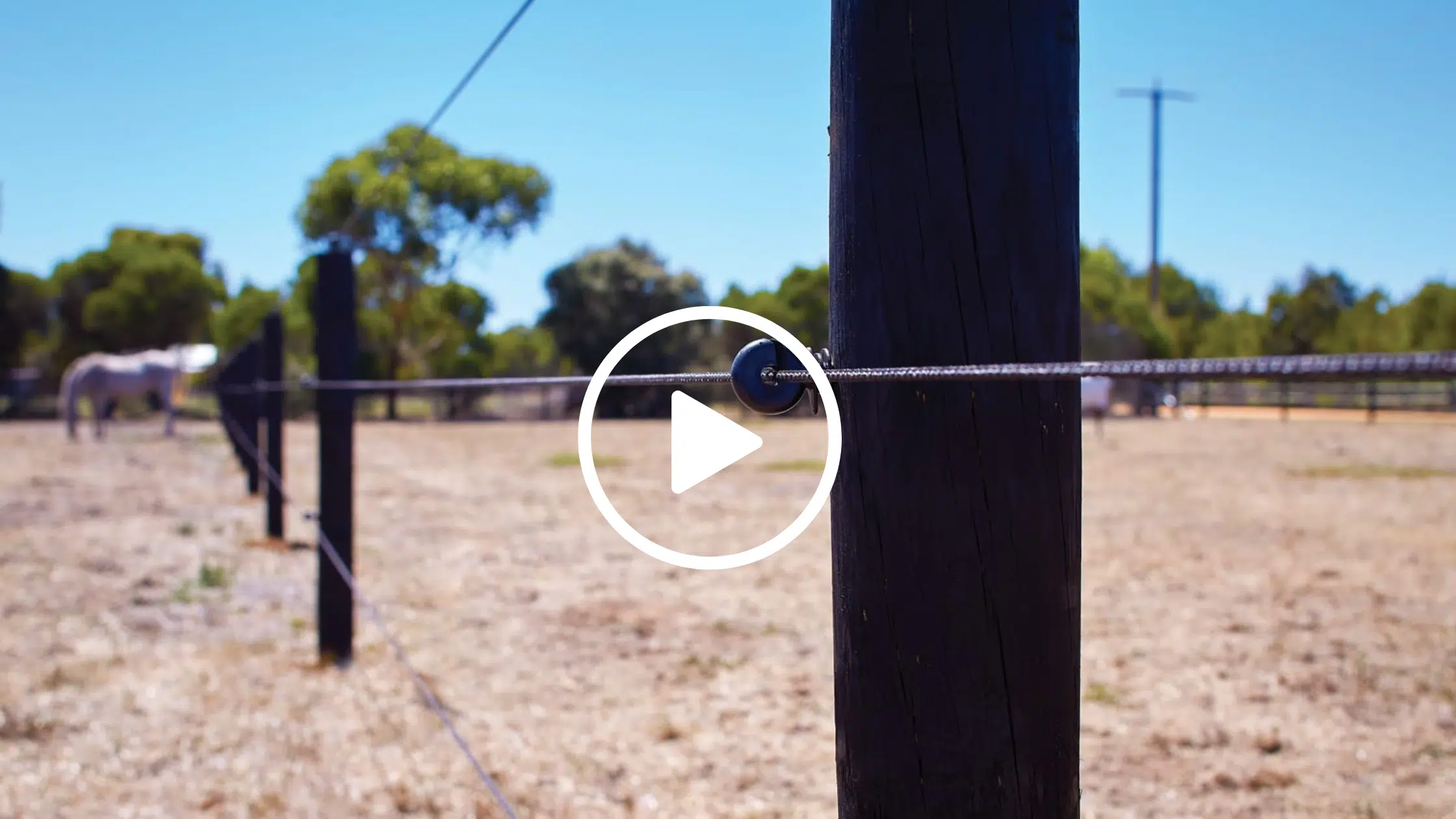 EquiRope review by horse property owner - horse fence - electric braid - electric fence