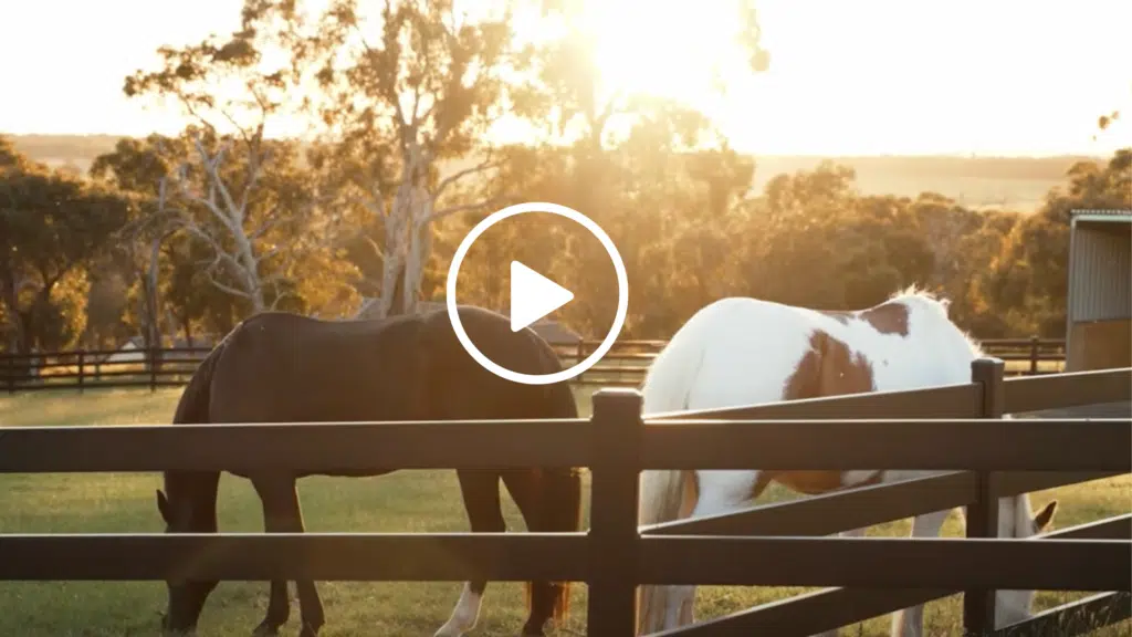 Premium Steel Post and Rail Fencing at Horse Property in Victoria