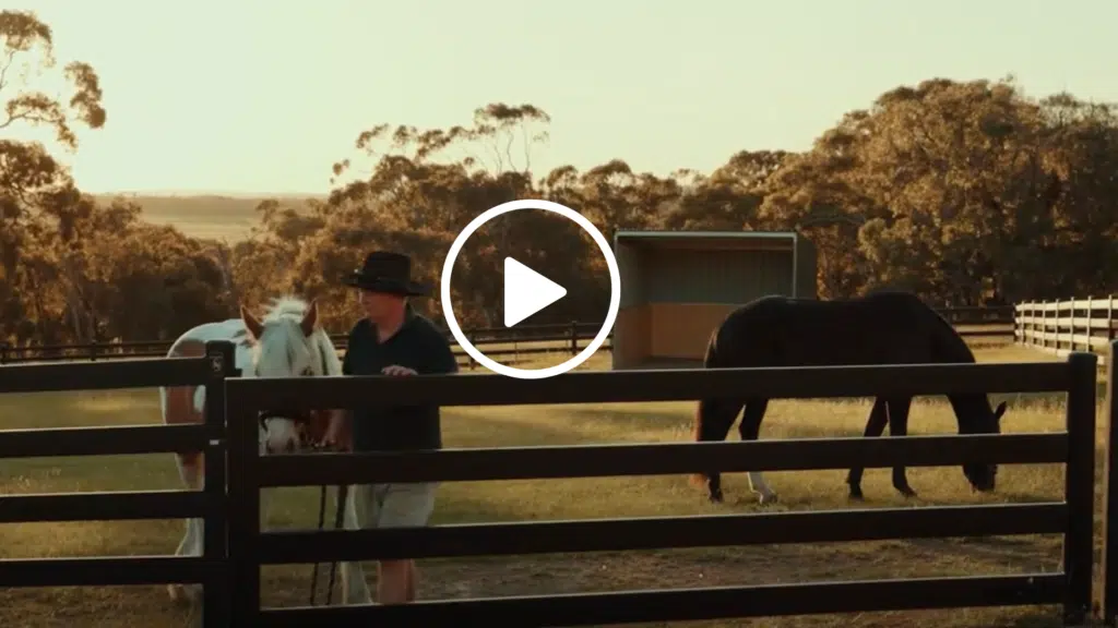 Equine property with premium steel post and rail fencing