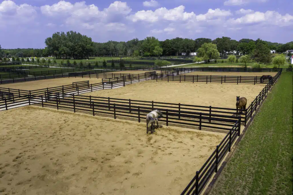 Premium Steel post and Rail Fencing - Stock & Noble - paddocks - horse fencing - black 4 rail