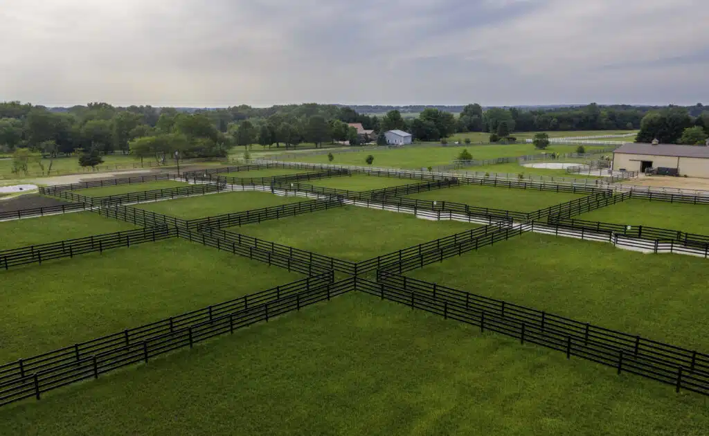 Premium Steel post and rail fencing from Stock and noble - black fencing - 4 rail - paddocks