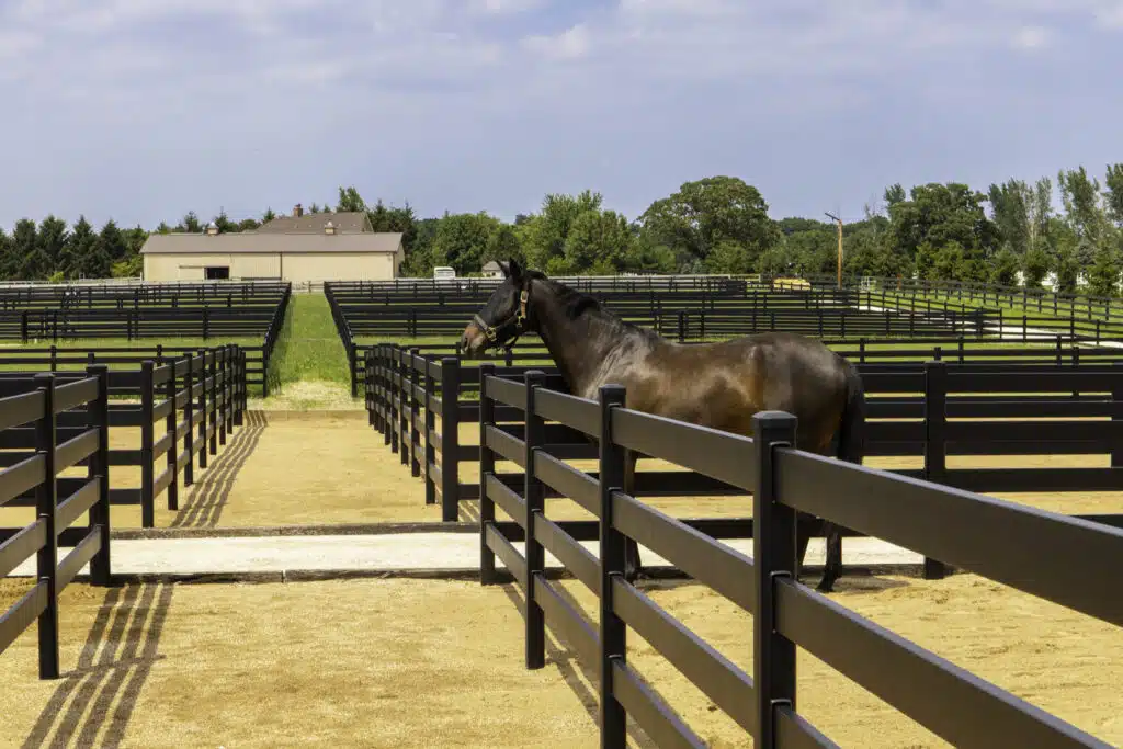 Premium Steel Post and Rail Fence - Stock & Noble - Black fencing - 4 rail - horse fence