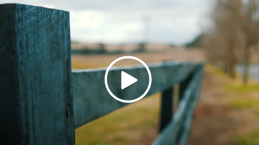 Property makeover - painting with premium timber fence paint - forever black