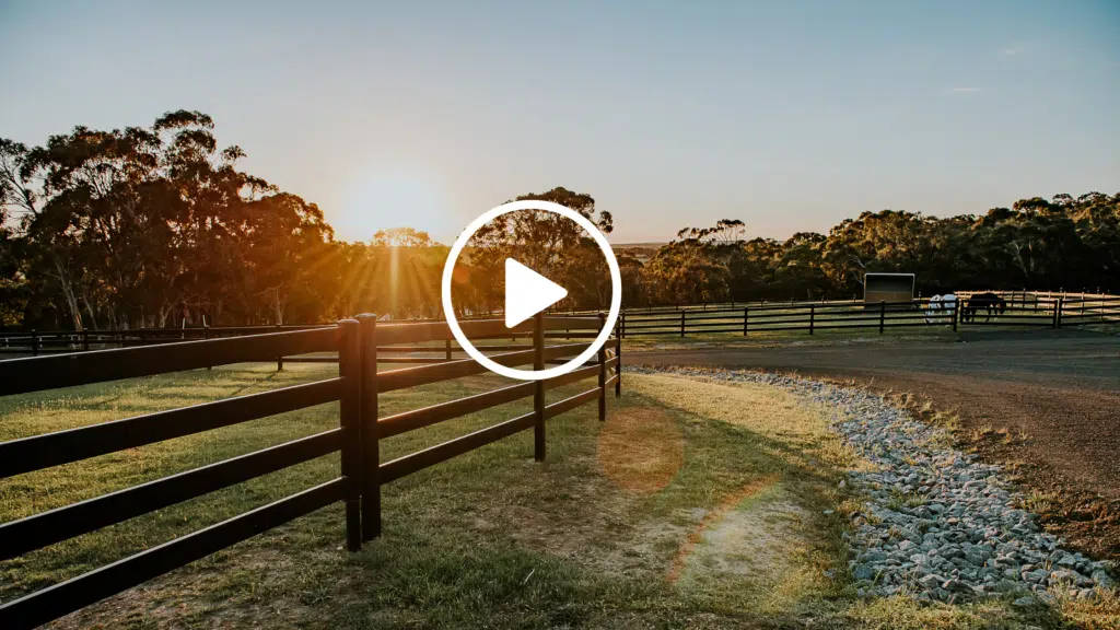 Premium Steel fencing - horse property