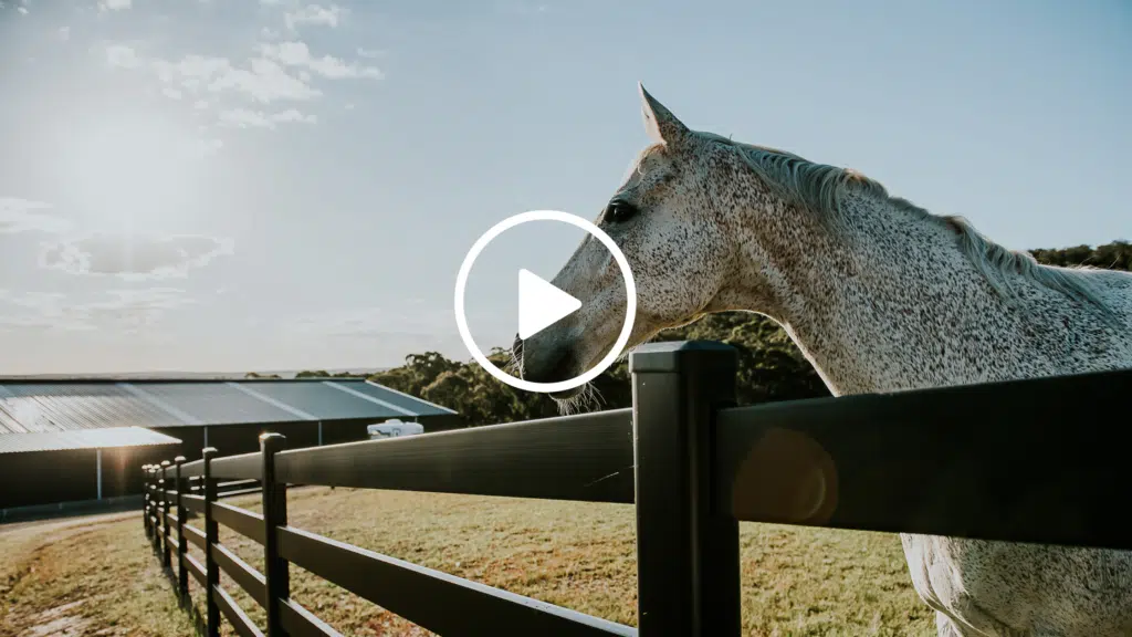 Premium Steel post and Rail Fencing - Horse property - Horse fencing