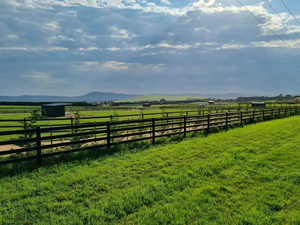 Premium steel post and rail fencing