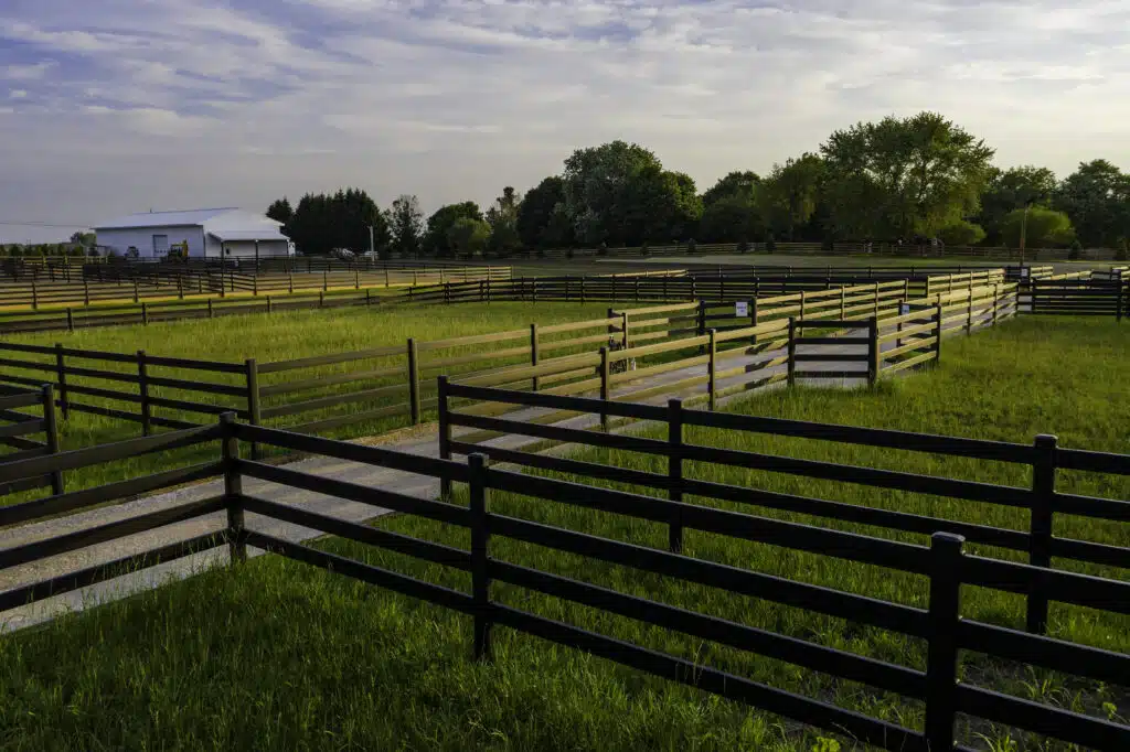 Premium Steel post and Rail Fencing - paddock fencing - horse fencing - black fencing - Stock & Noble