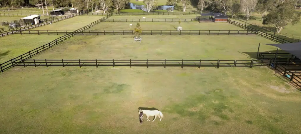 Premium Steel Post and Rail Fencing Design for Equine PropertiesÂ