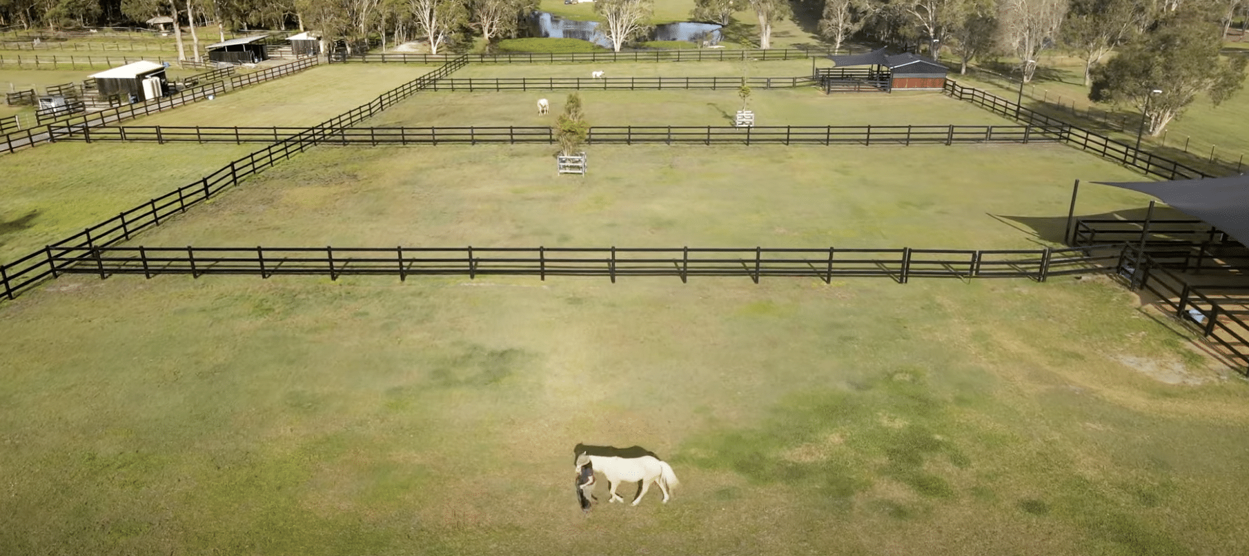 Premium Steel Post and Rail Fencing Design for Equine Properties 