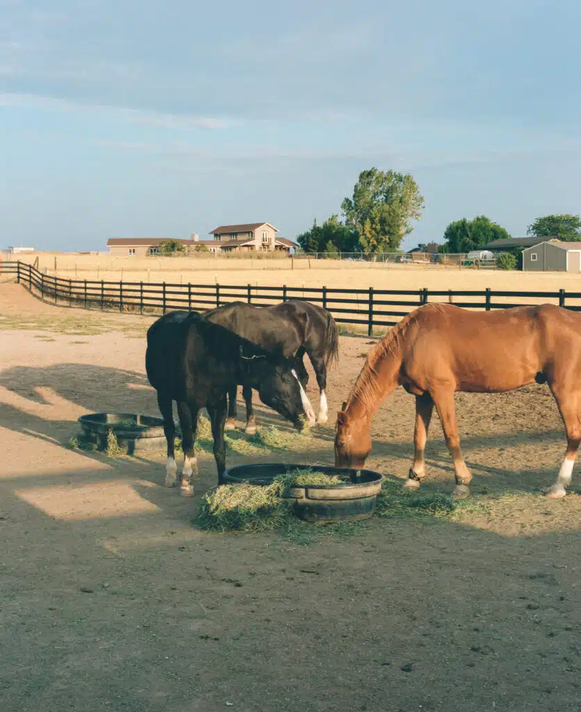 Premium Steel post and Rail Fencing - paddock fencing - horse fencing - black fencing - Stock & Noble