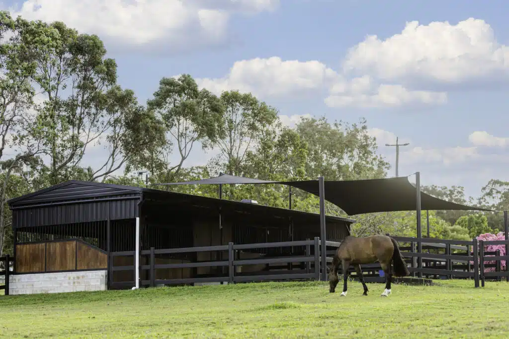 Premium Steel Post and Rail Fencing - Stock and Noble