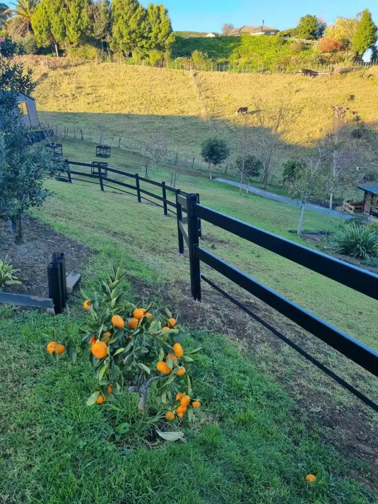 Premium Steel Post and Rail Fencing