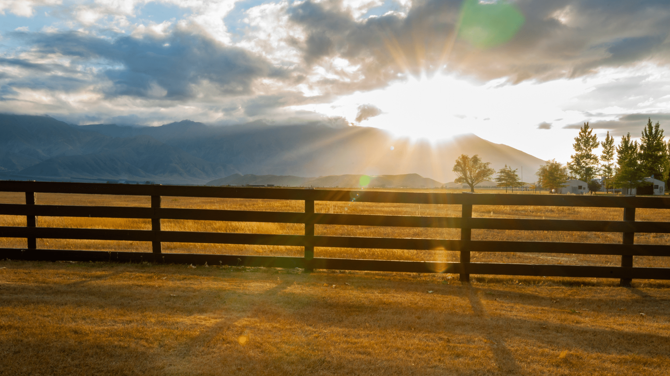 Treated Pine Post and Rail fence