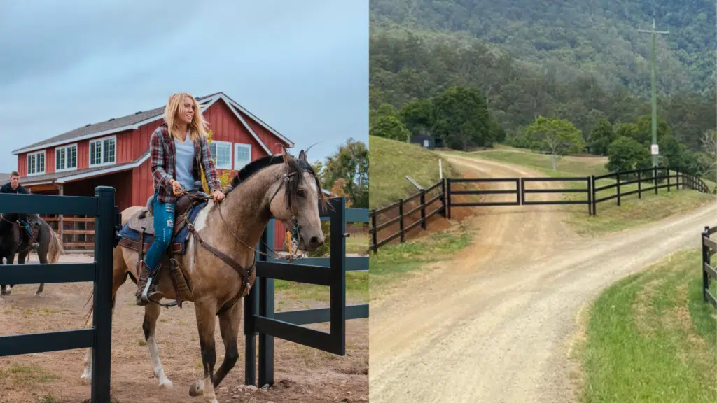 Single premium steel gate - double premium steel gate