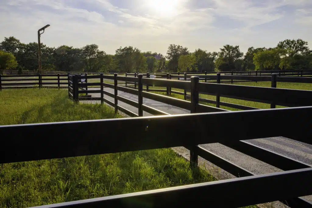 Premium Steel Post and Rail Fencing - Horse Fencing - Black fence