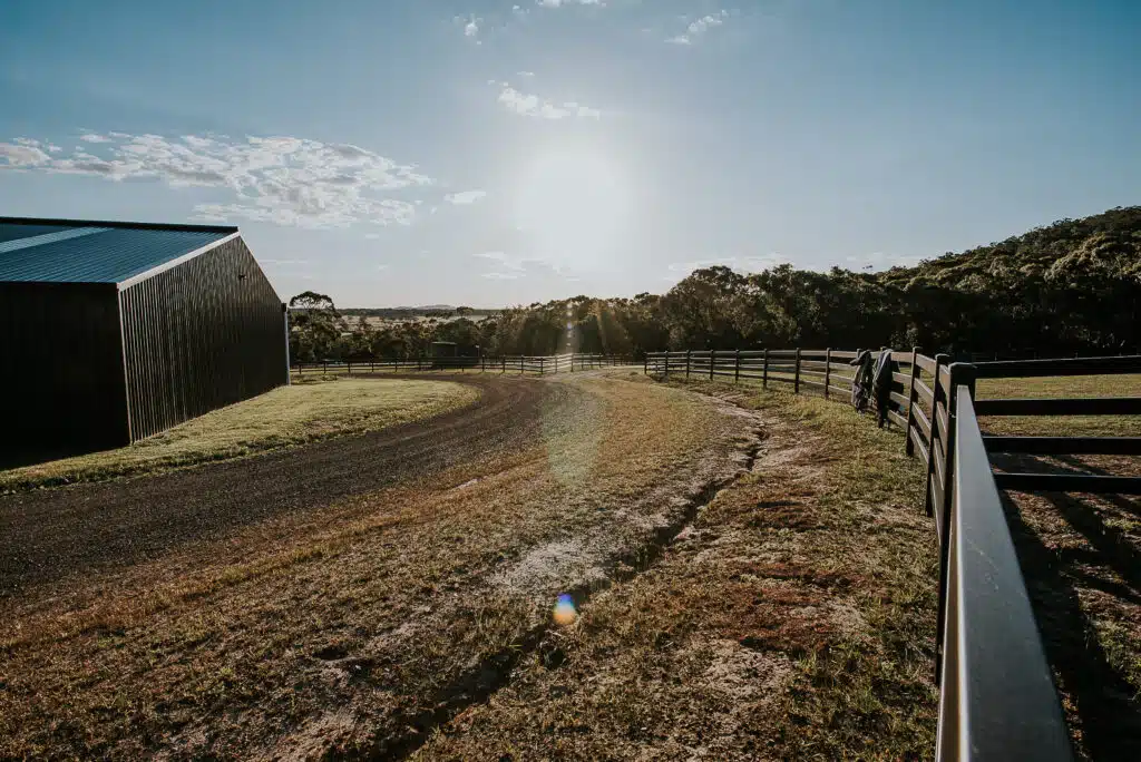 Premium Steel Post and Rail Fencing - Horse Fencing - Black fence - night