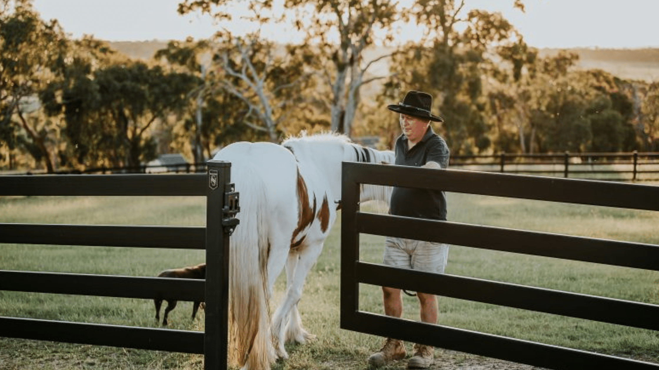 Premium Steel Gates