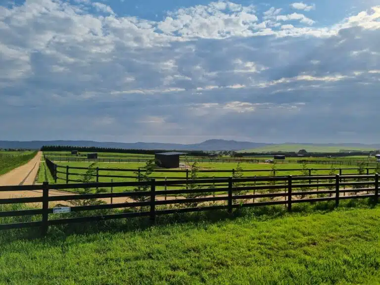 Premium Steel post and rail fencing
