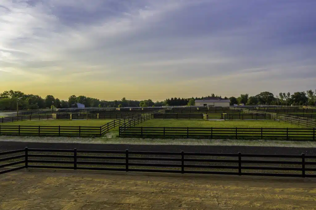 Premium steel post and rail fencing - Stock and Noble