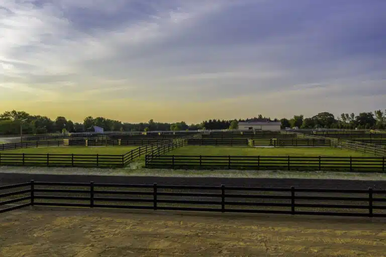 Premium steel post and rail fencing - Stock and Noble