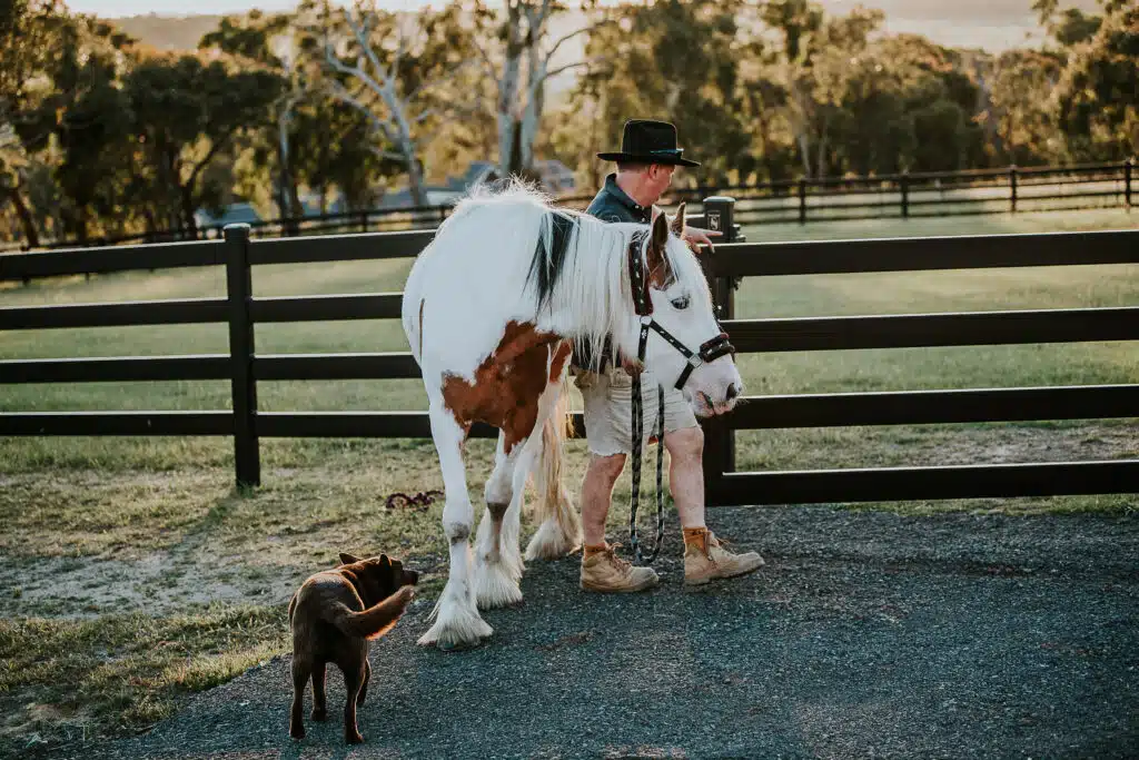 Premium Steel post and Rail Fence - Stock & Noble