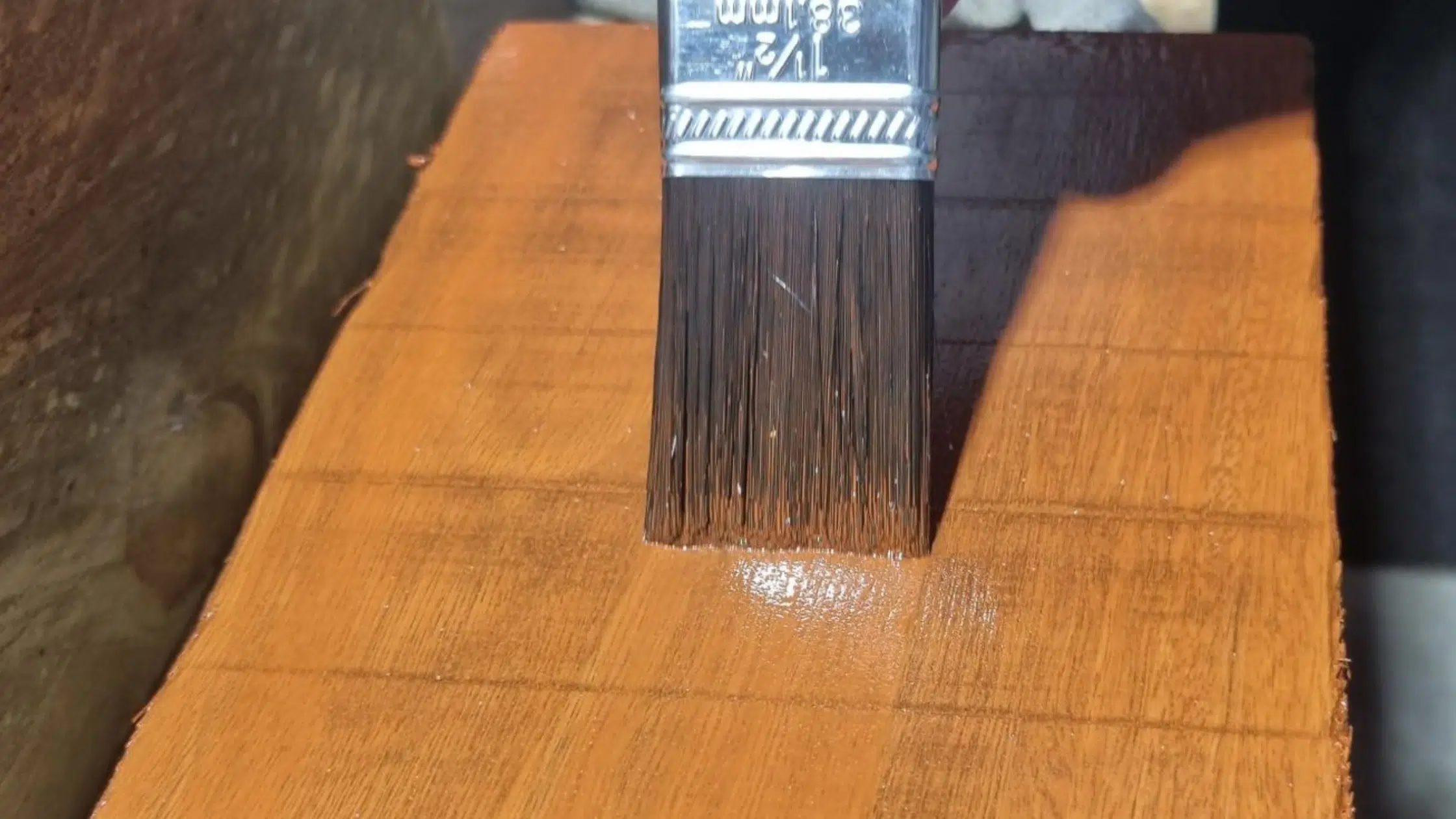 Wood - primer - timber fence - undercoat