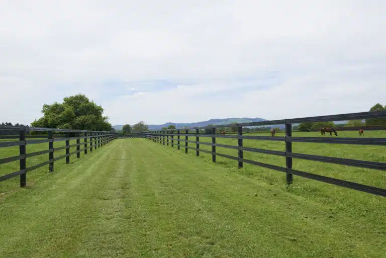 Horserail fencing - horse fencing