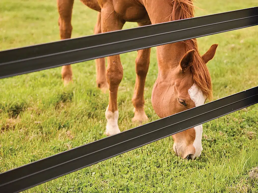 SN Horserail Horse-safe V1