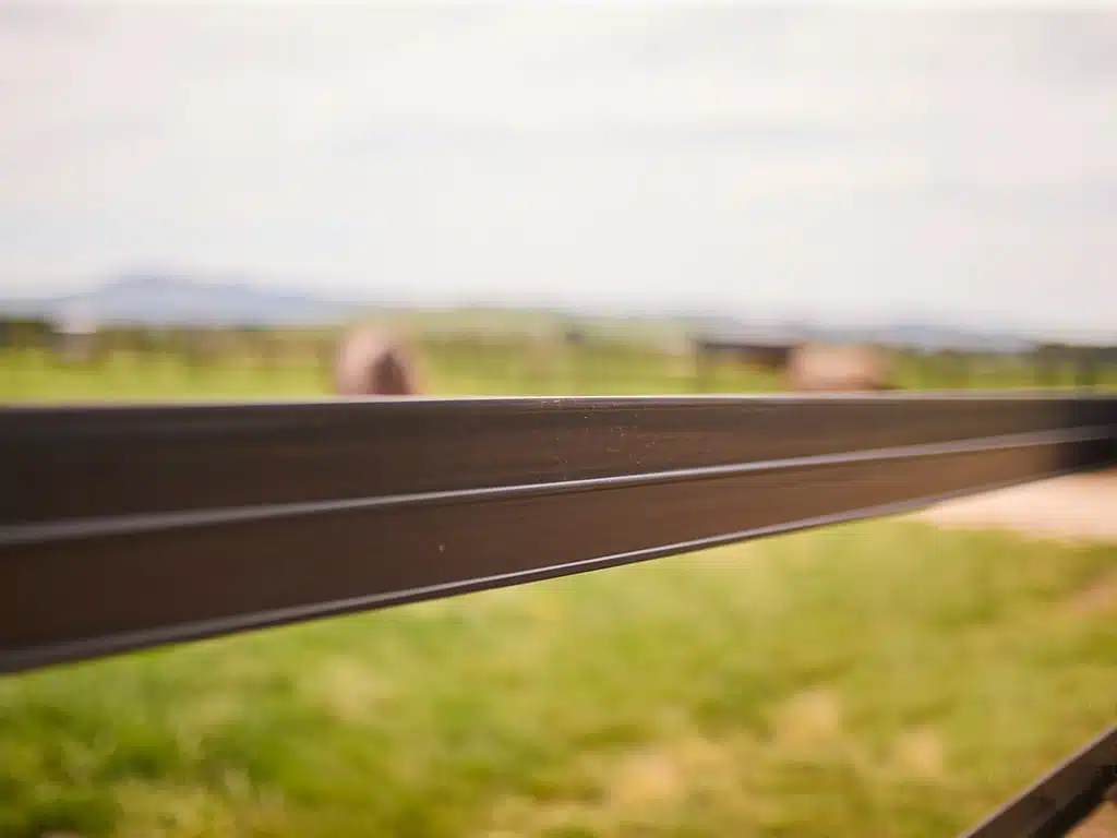 SN Horserail Low on maintenance V2