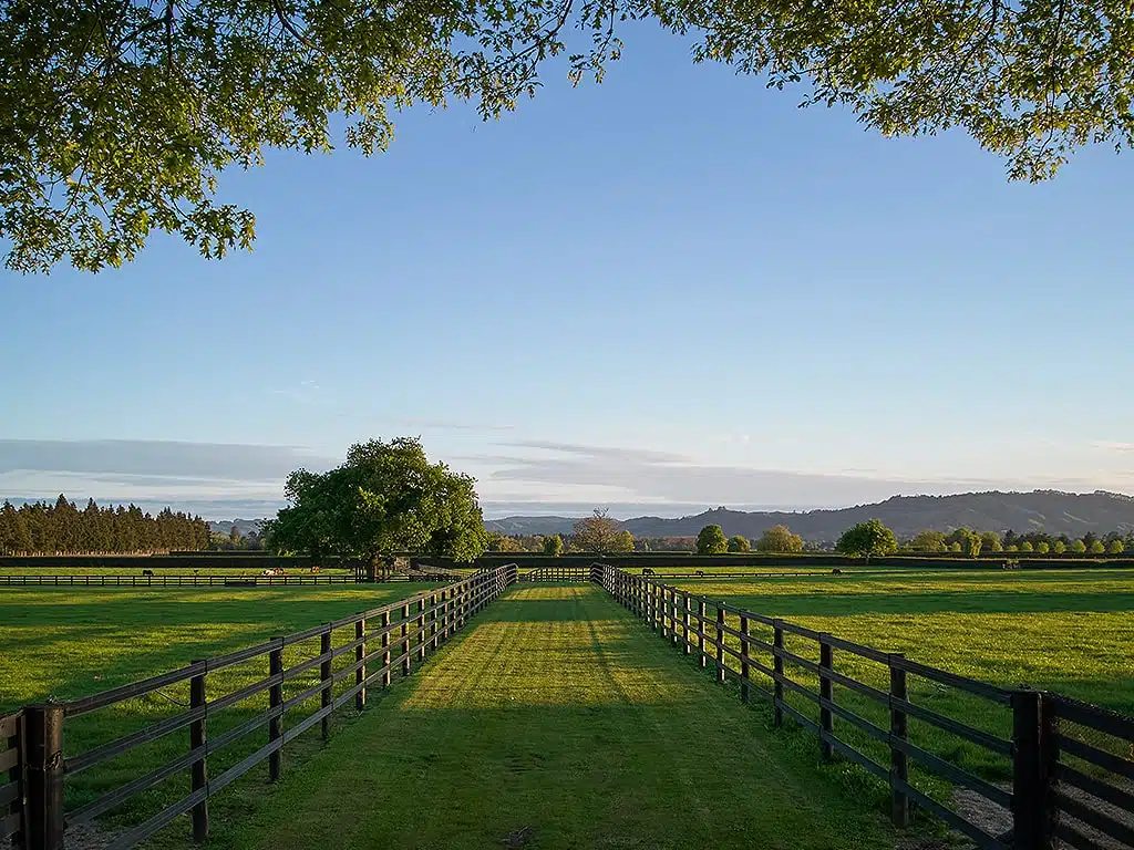 SN Horserail Premium fence look V2