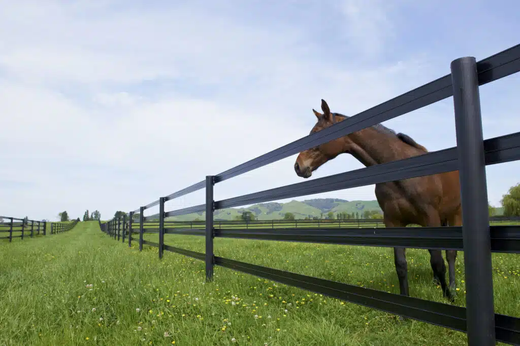 Horserail - horse fencing - safe horse fence - flexible post and rail fence