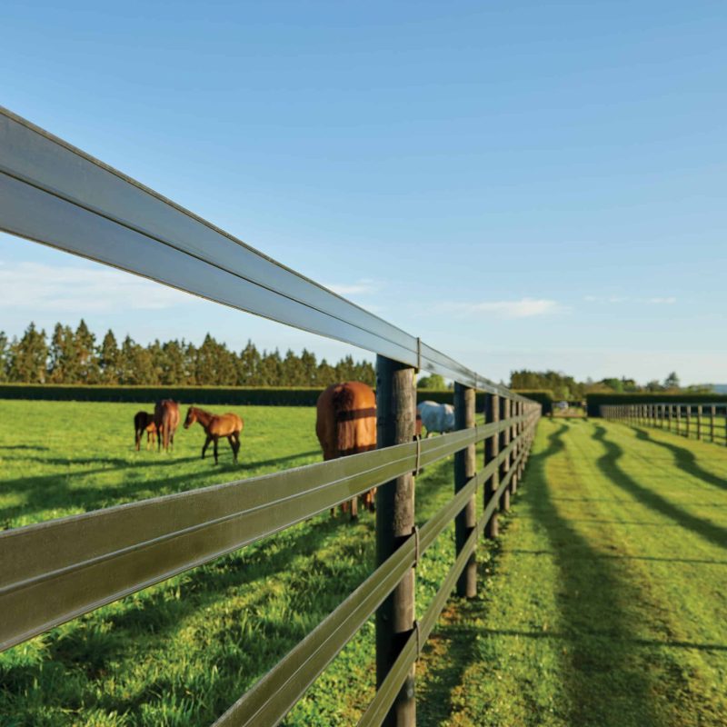 SN-Horserail-Page-Square-Image-V4 Original horserail fencing
