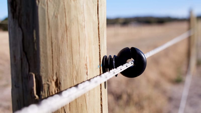 Equirope- Stock and Noble - electric braid - electric fence for horses