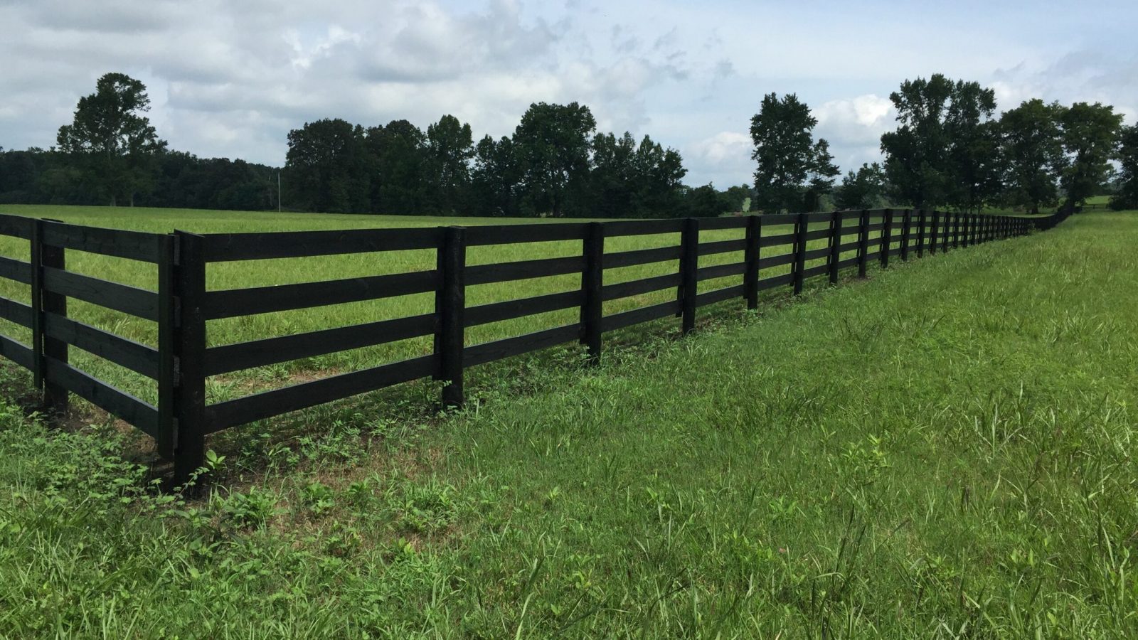 Black Steel Fencing - Stock and Noble