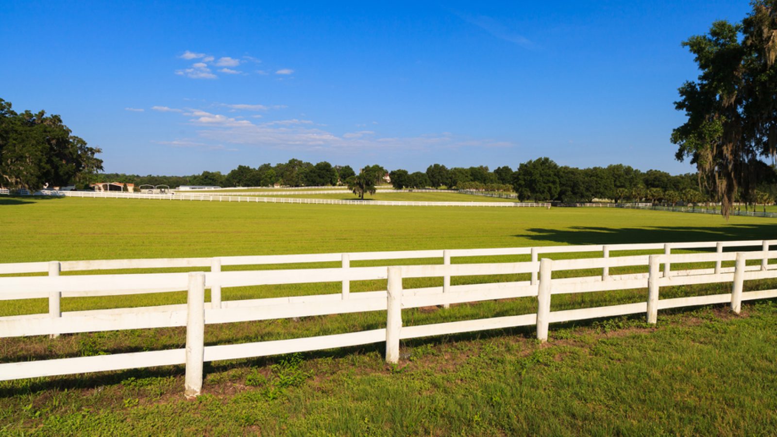 White Fence Paint - Stock and Noble